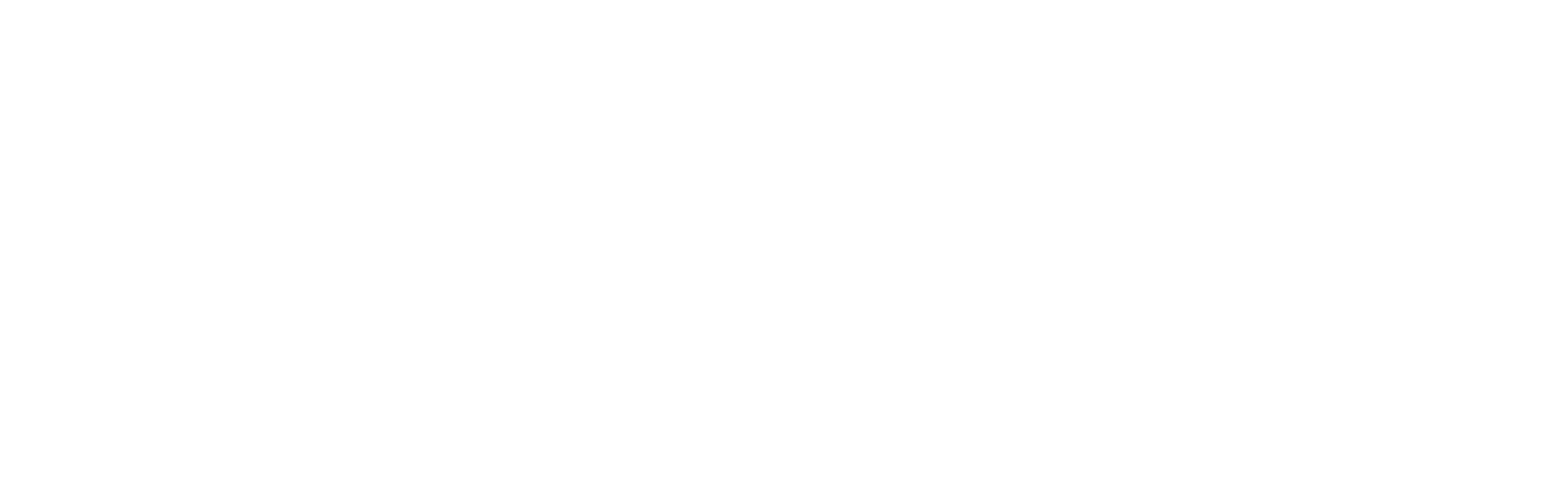 Logo Punch